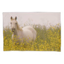 Search for landscape pillowcases Photography