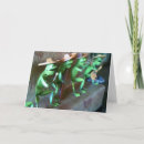 Search for frog sayings cards Funny