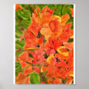 Search for bougainvillea art Watercolor