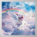 Search for pitbull pet supplies Rainbow bridge
