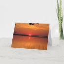 Search for corolla cards invites Sunset