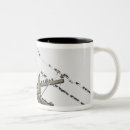 Search for bird on a wire mugs Nature