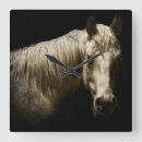 Search for black and white horse art Photography