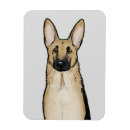 Search for shepherds magnets Dog