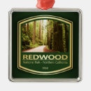 Search for redwood trees christmas tree decorations Camping