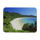 Search for south island magnets Ocean