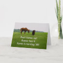 Search for animals funny horse birthday cards Humor