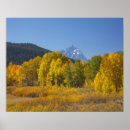Search for aspen posters Autumn