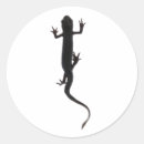Search for newt stickers Amphibian