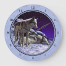 Search for grey wolves Snow