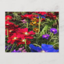 Search for flowerbeds postcards Summer