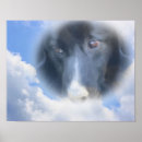 Search for dog heaven posters Animal