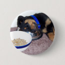 Search for rottweiler badges Puppies