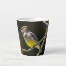 Search for waxwing mugs Cedar