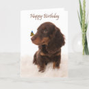 Search for butterfly dog cards Sweet