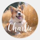 Search for mom to be stickers Baby