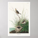 Search for sharp posters Bird
