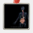 Search for transparent christmas tree decorations People