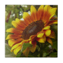 Search for summer sunflower tiles Nature