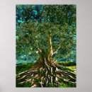 Search for tree of knowledge Life