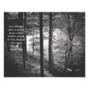 Search for black and white forest posters Landscape