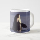 Search for orca killer whale mugs Wildlife