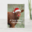 Search for mooey christmas cards Santa