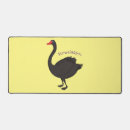 Search for plumage electronics Bird