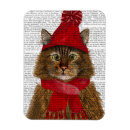 Search for maine Maine cat
