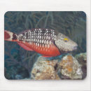 Search for individual mousepads Swimming