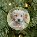 Search for pet name christmas tree decorations Create your own
