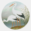 Search for storks stickers Birds
