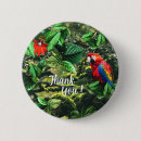 Search for parrot bird badges Macaw