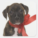 Search for pitbull puppy stickers Friendship