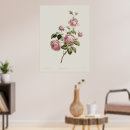 Search for 18th century posters Antique