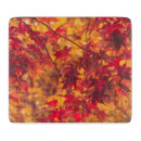 Search for decorative chopping boards Orange