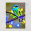 Search for bold green postcards Yellow