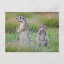 Search for secure postcards Safe