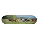 Search for western skateboards Horses