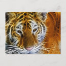 Search for abstract animal postcards Safari