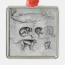 Search for study christmas tree decorations Drawing