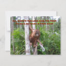 Search for environmentalism cards Wildlife