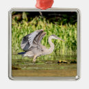 Search for great blue heron christmas tree decorations Wildlife