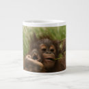 Search for endangered animals mugs Baby