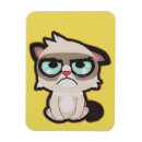 Search for sad rectangular magnets Cat