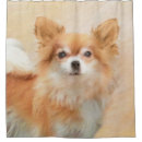 Search for chihuahua shower curtains Puppy
