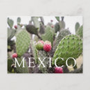Search for closely postcards Nobody