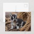 Search for cute baby animals postcards Sweet