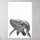 Search for black and white whale art Ocean
