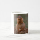 Search for prairie dog mugs Cute